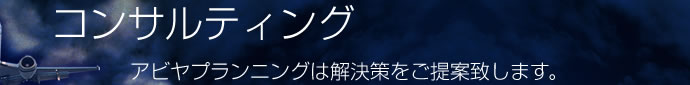 コンサルティング コンサルティング
