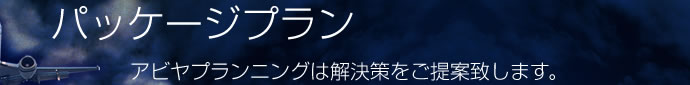 パッケージプラン パッケージプラン